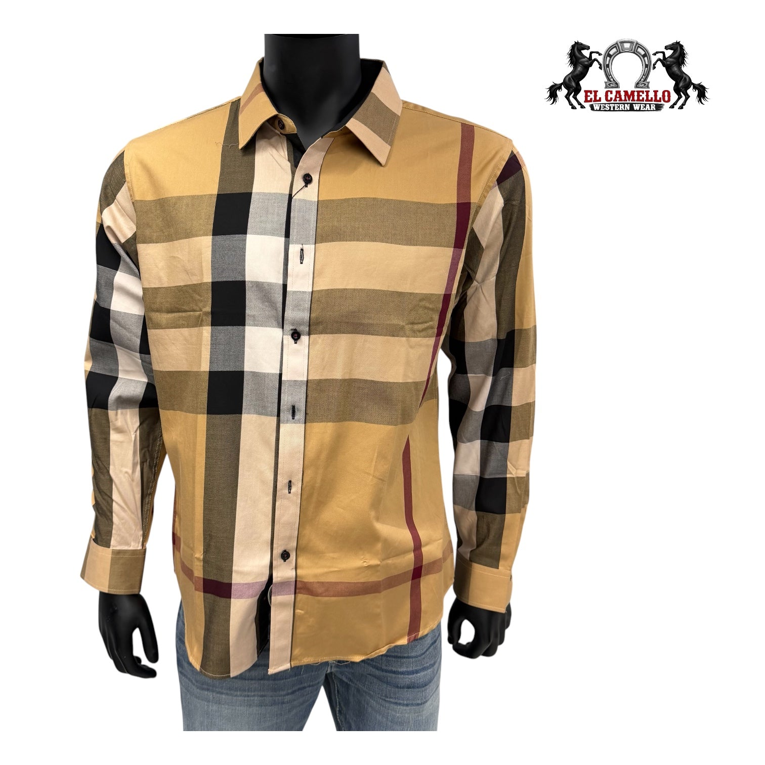BALDELLI CH-201  CAMEL