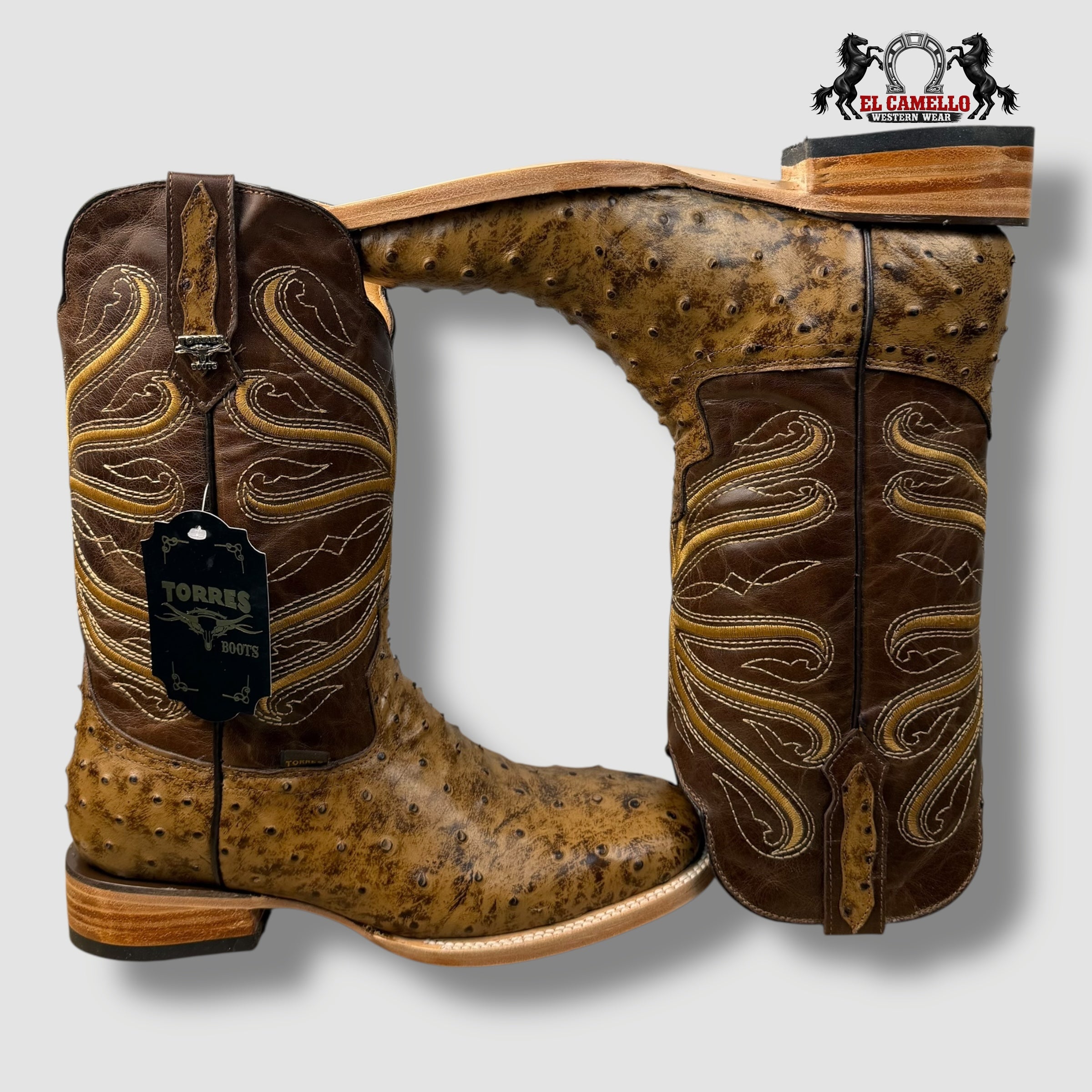 Avestruz  Miel Torres Boots TBRCC136