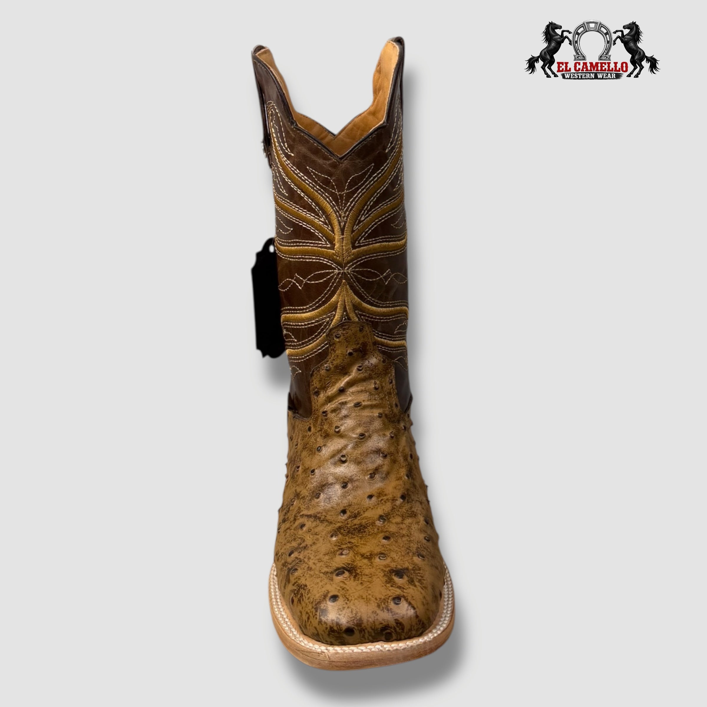 Avestruz  Miel Torres Boots TBRCC136