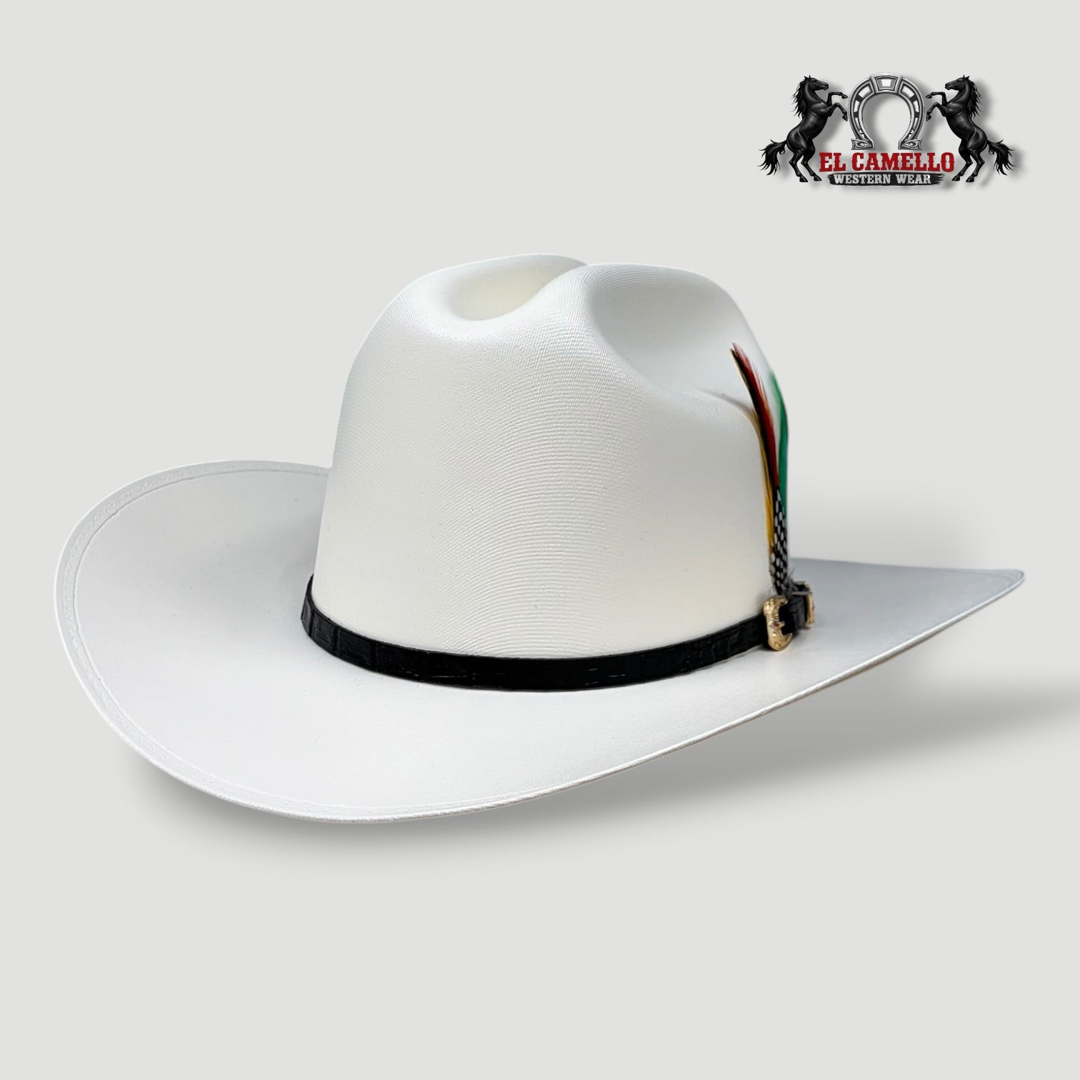 5000 Torres Ranch "RANCHERA" Sombrero