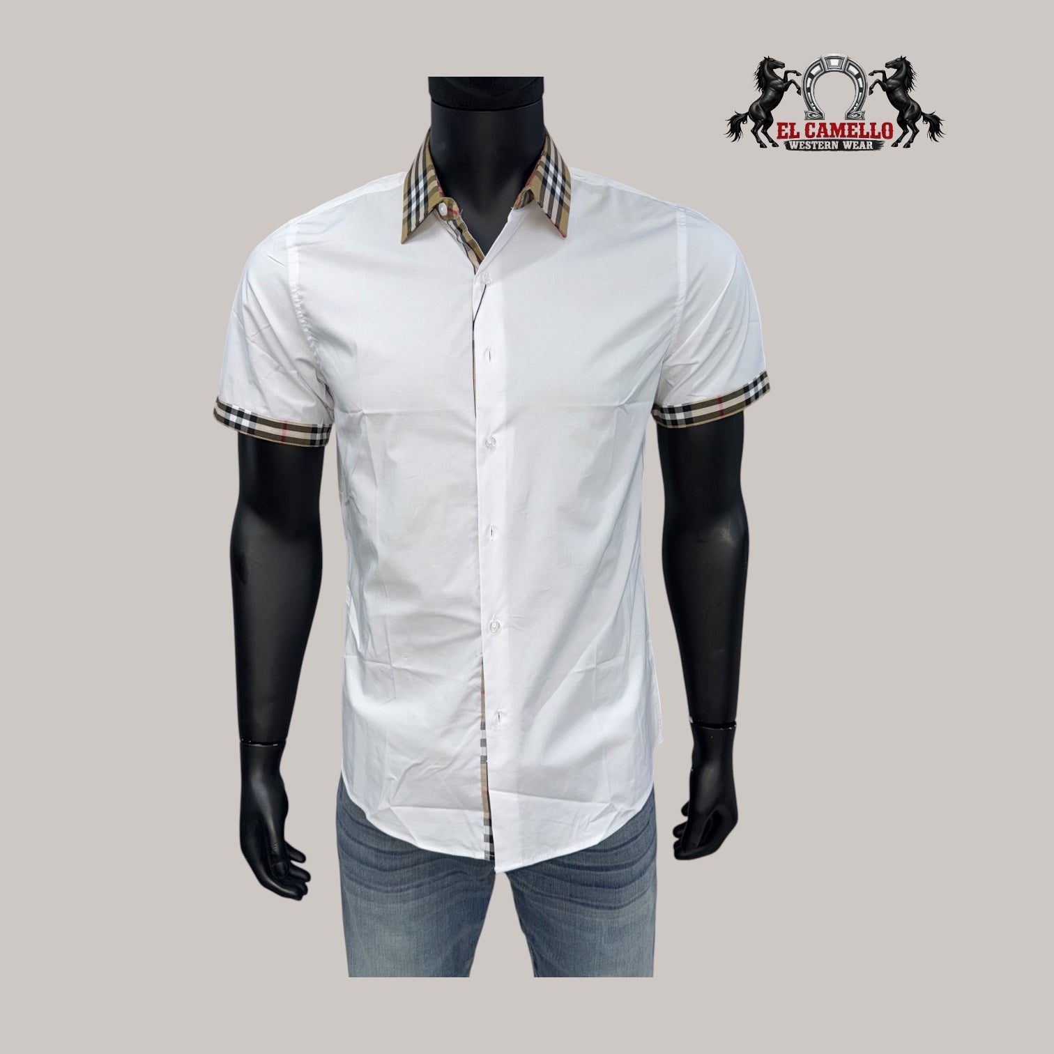 CASALI CHSS2130 White