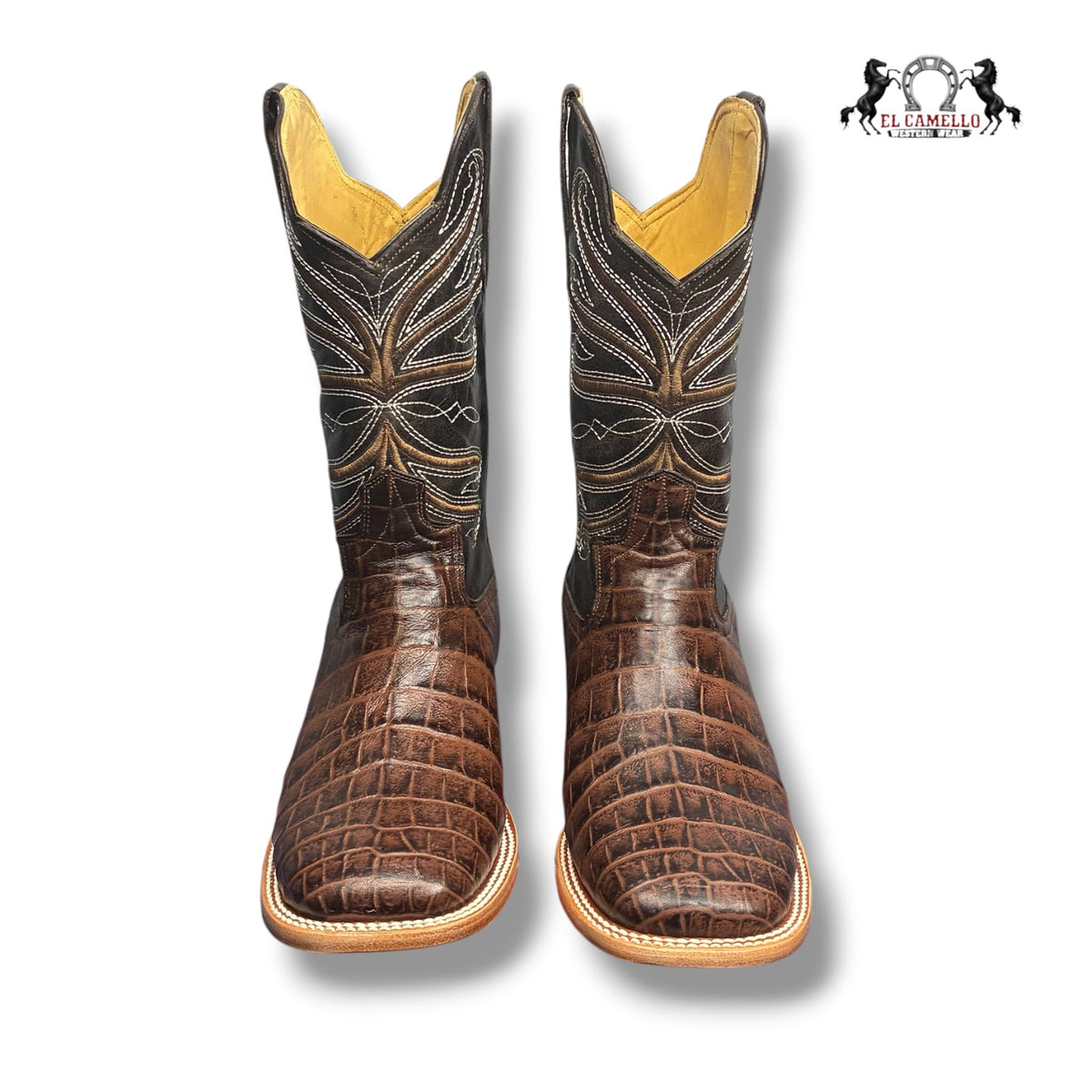 BELLY CAFE TORRES BOOTS
