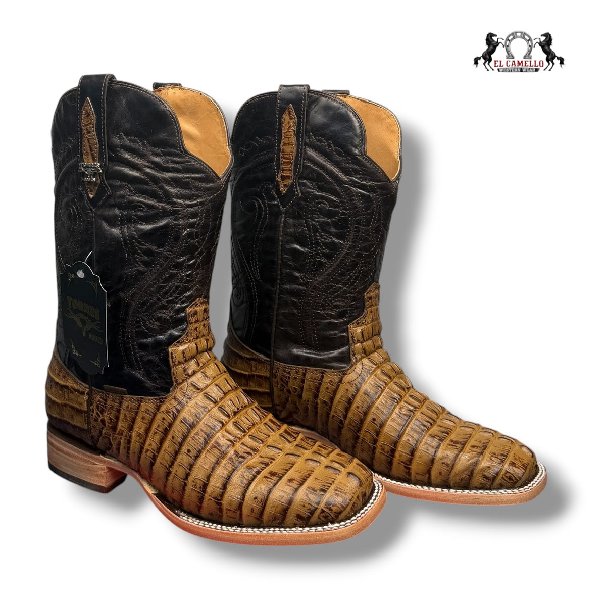 COLA CAIMAN MIEL TORRES BOOTS TBRCC215
