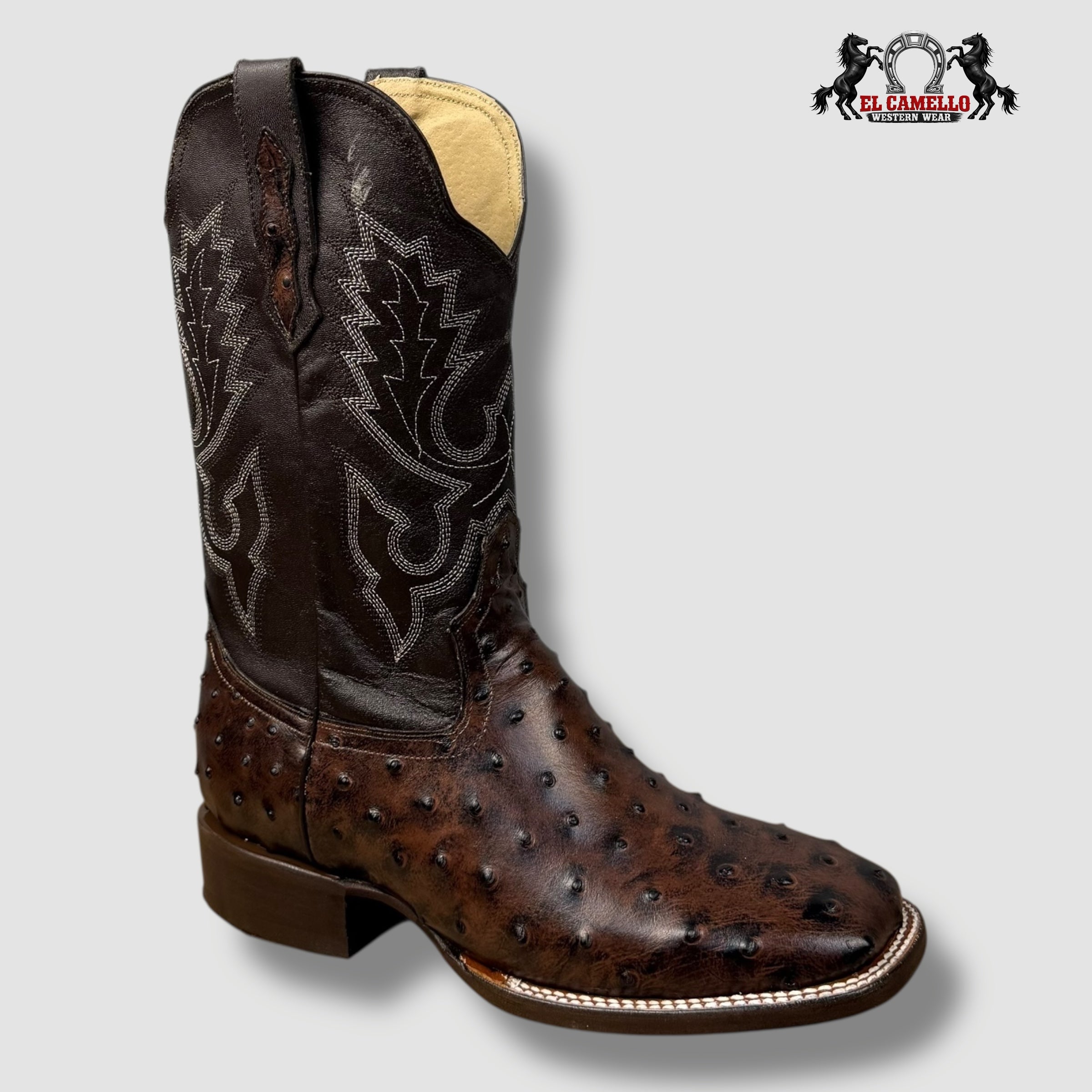 Avestruz Café Rodeo Torres Boots TBRCC144