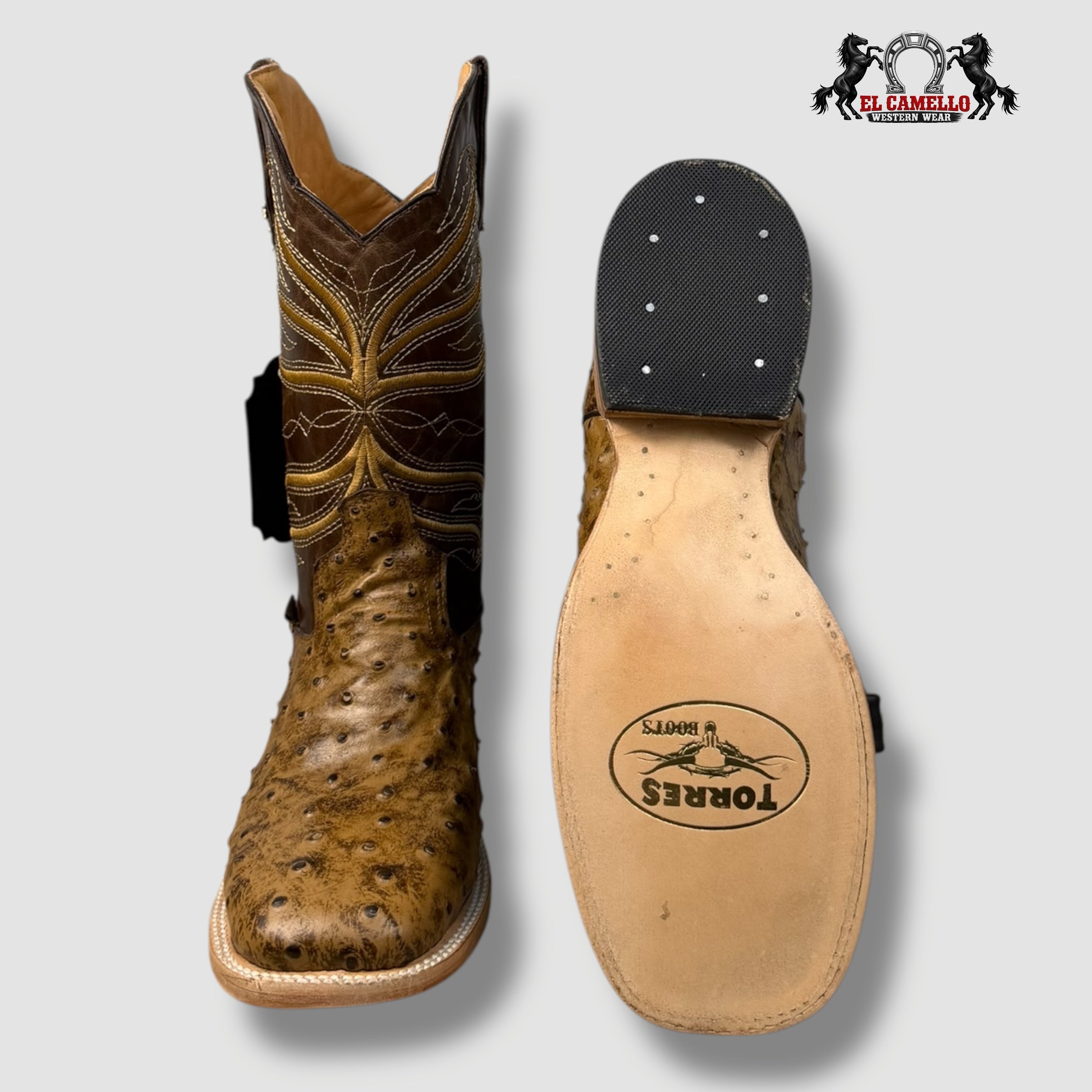 Avestruz  Miel Torres Boots TBRCC136
