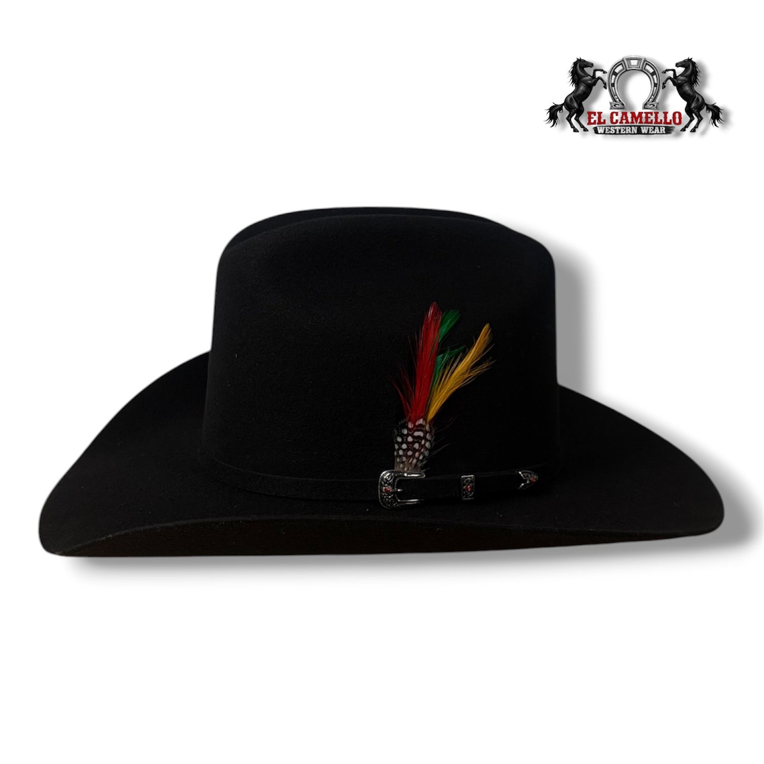 6x Torres Ranch "DURANGO" Felt - Black