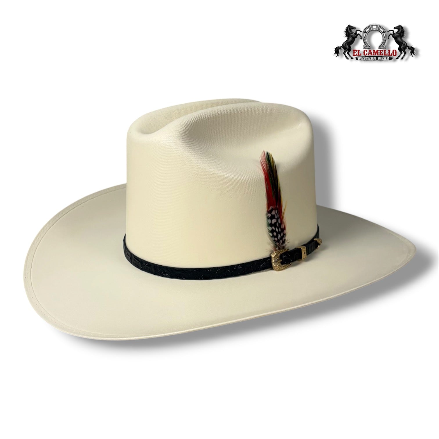 5000 Torres Ranch "JOHNSON" Sombrero
