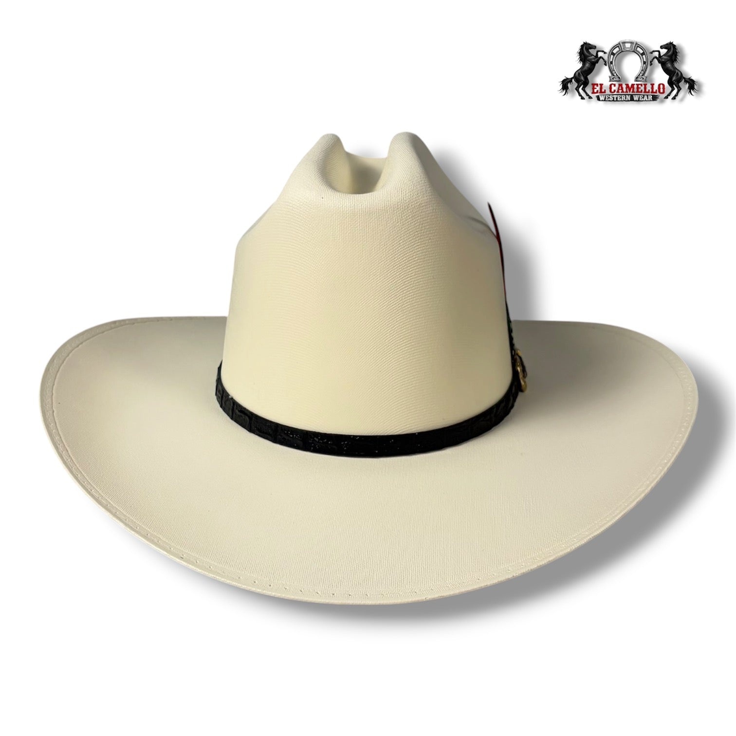 5000 Torres Ranch "JOHNSON" Sombrero