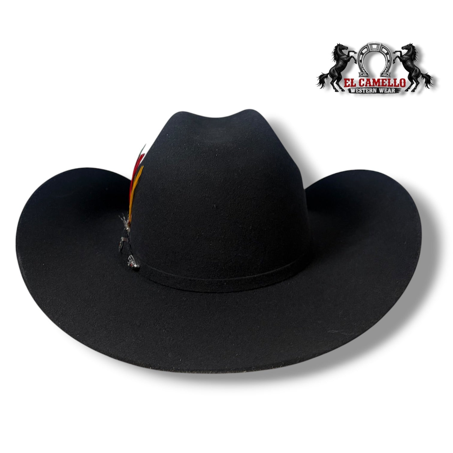 6x Torres Ranch "OSCAR" Felt - Black