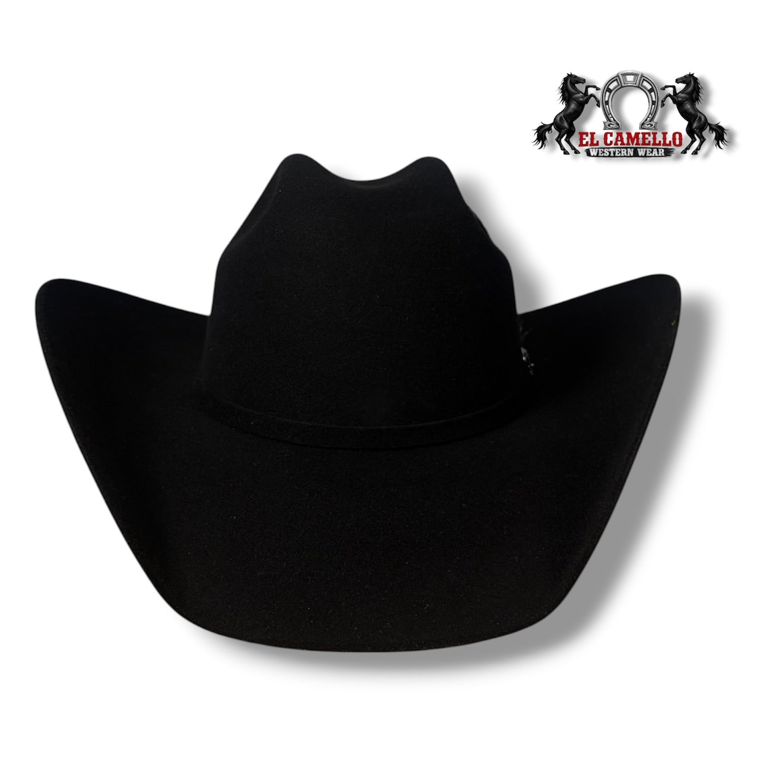 6x Torres Ranch "OSCAR" Felt - Black