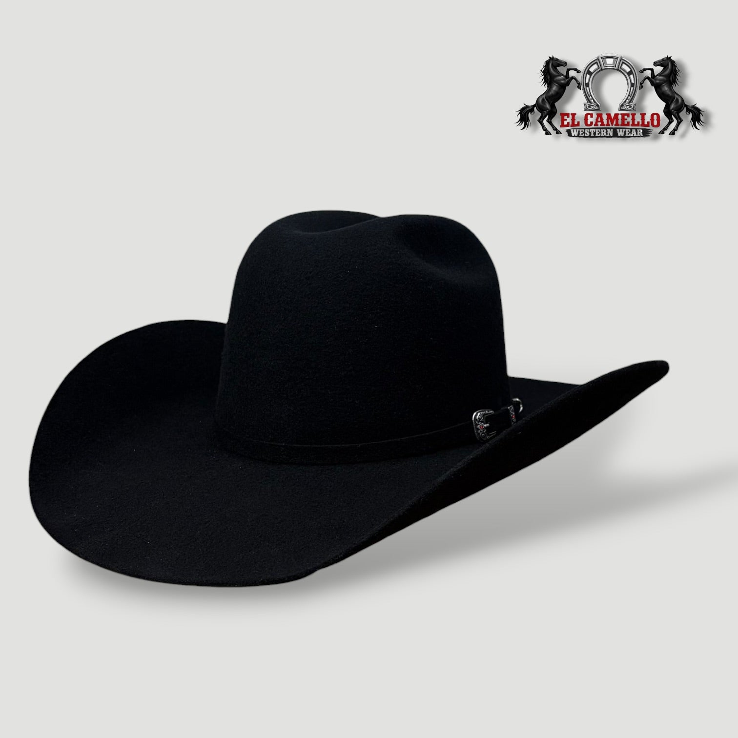 6x Torres Ranch "Minnick" Felt - Black