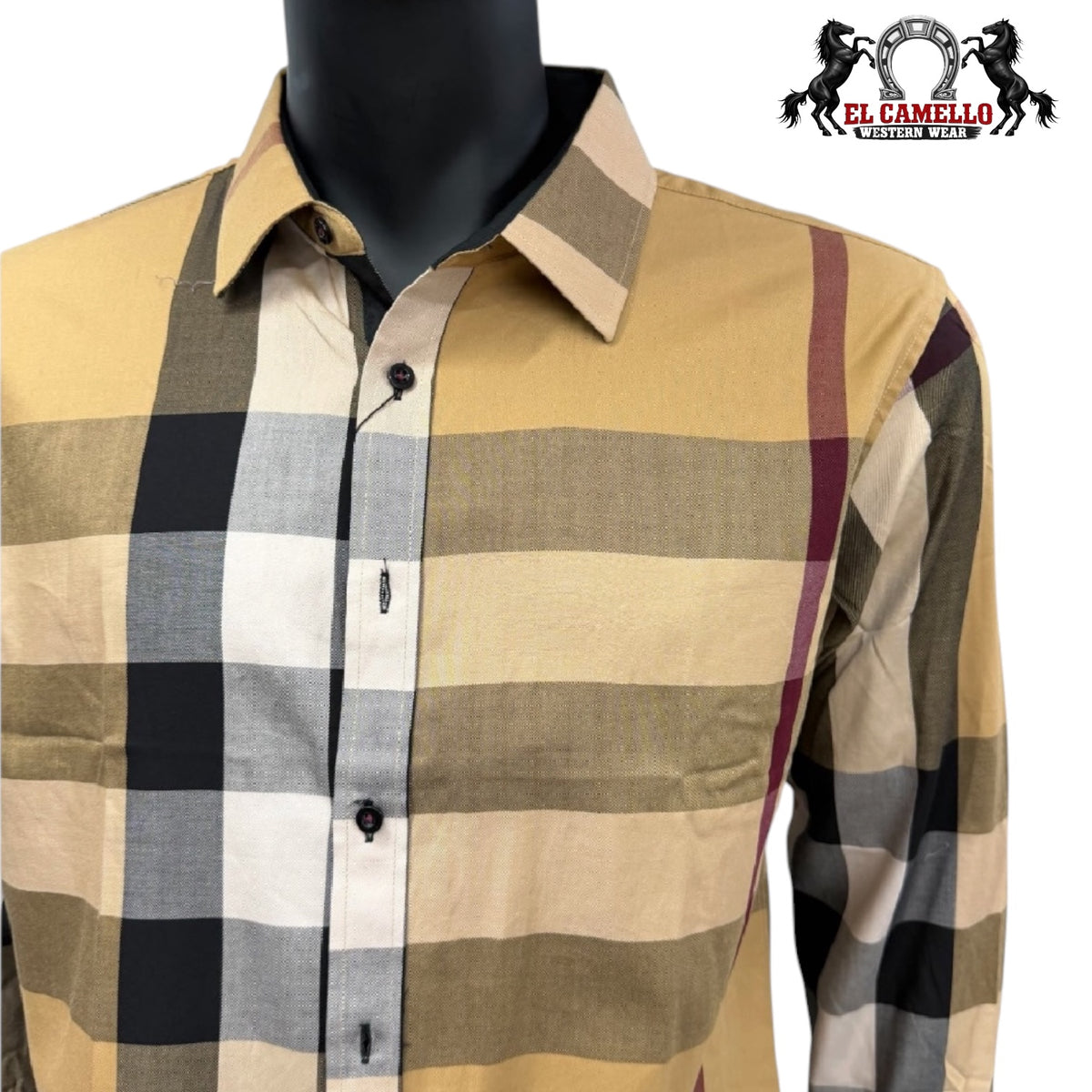 BALDELLI CH-201  CAMEL LONG