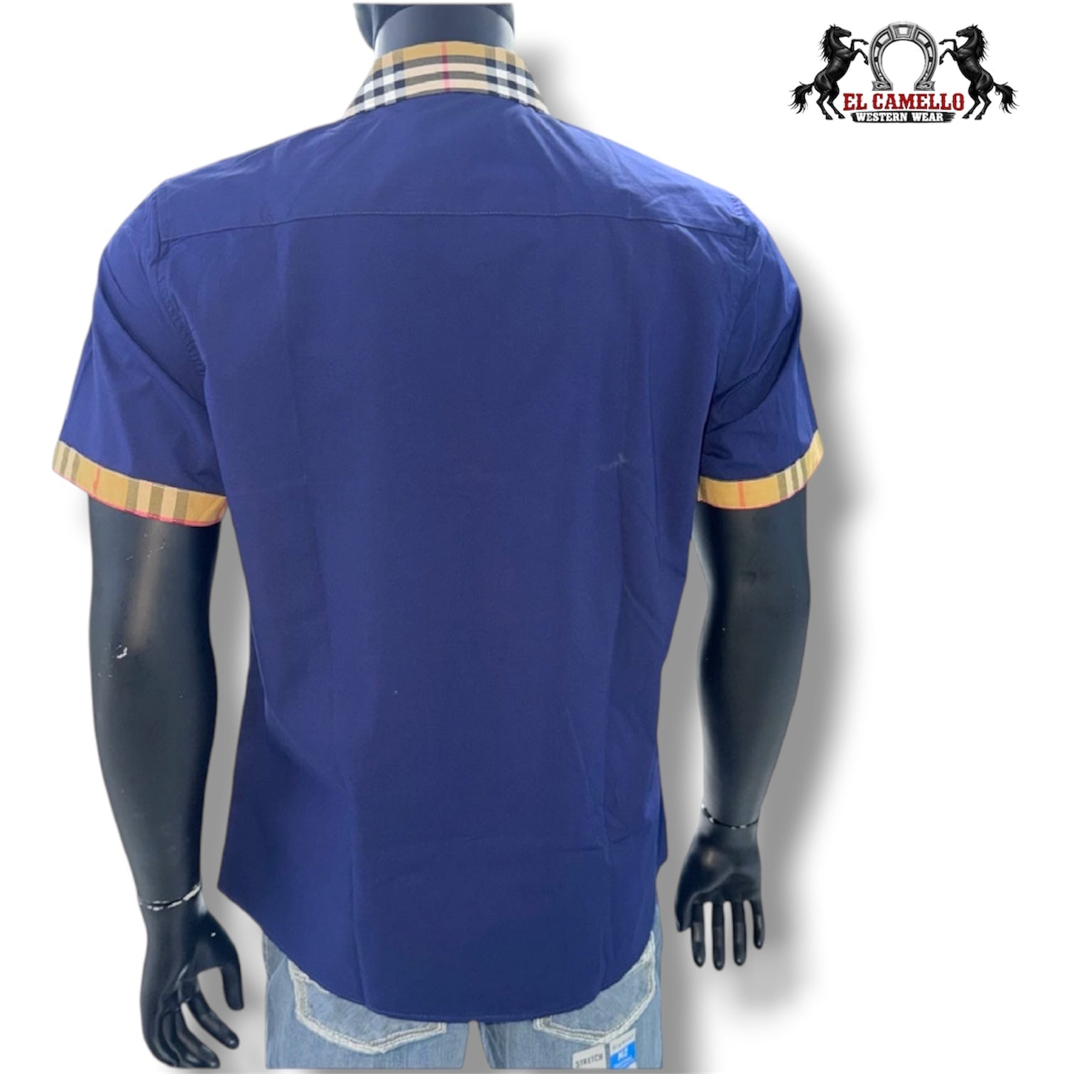 CASALI CHSS2130 Navy