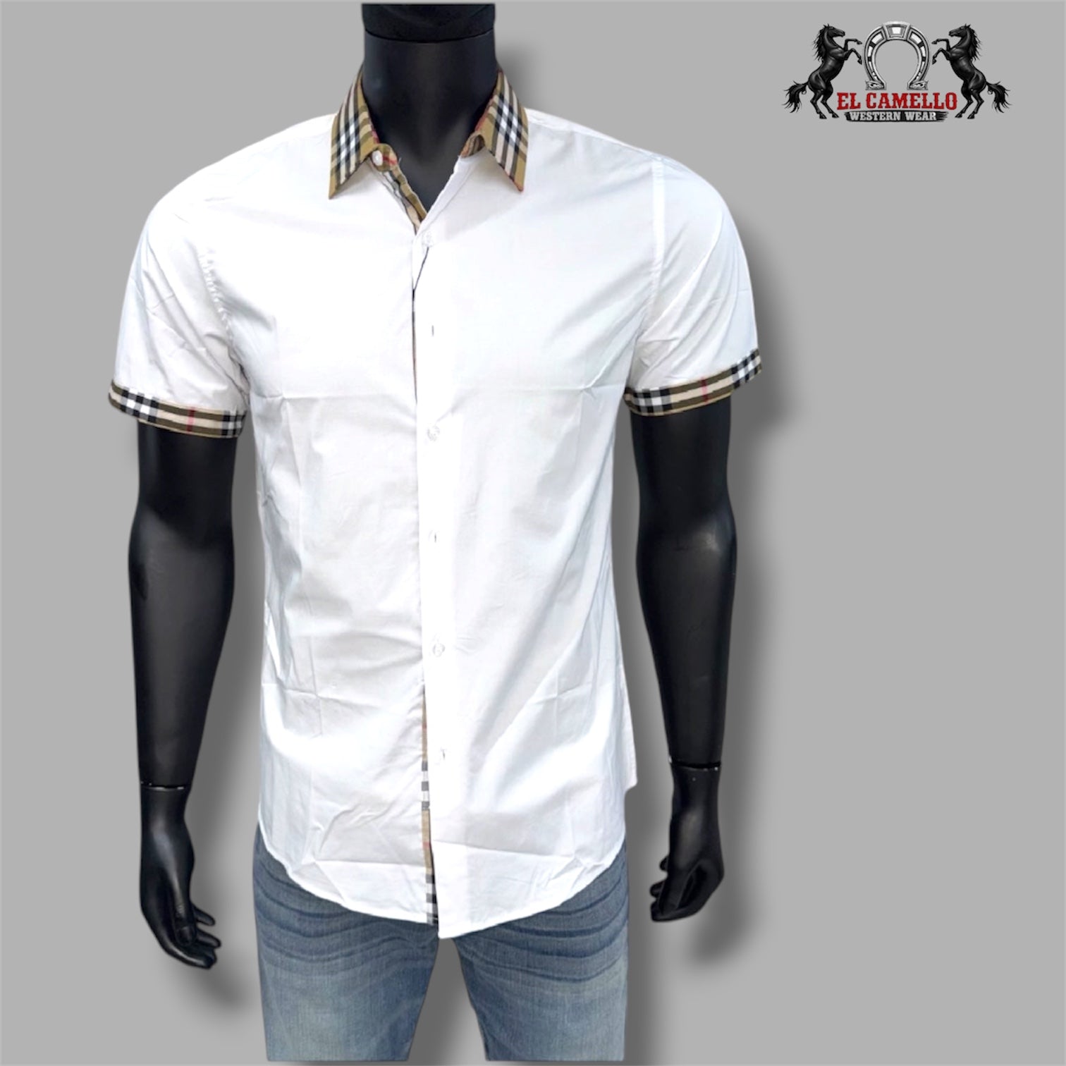 CASALI CHSS2130 White