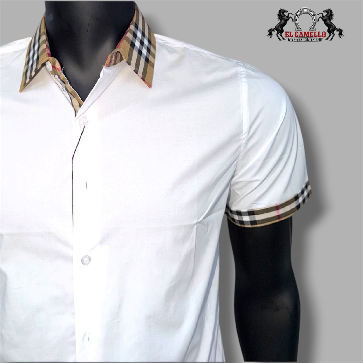CASALI CHSS2130 White