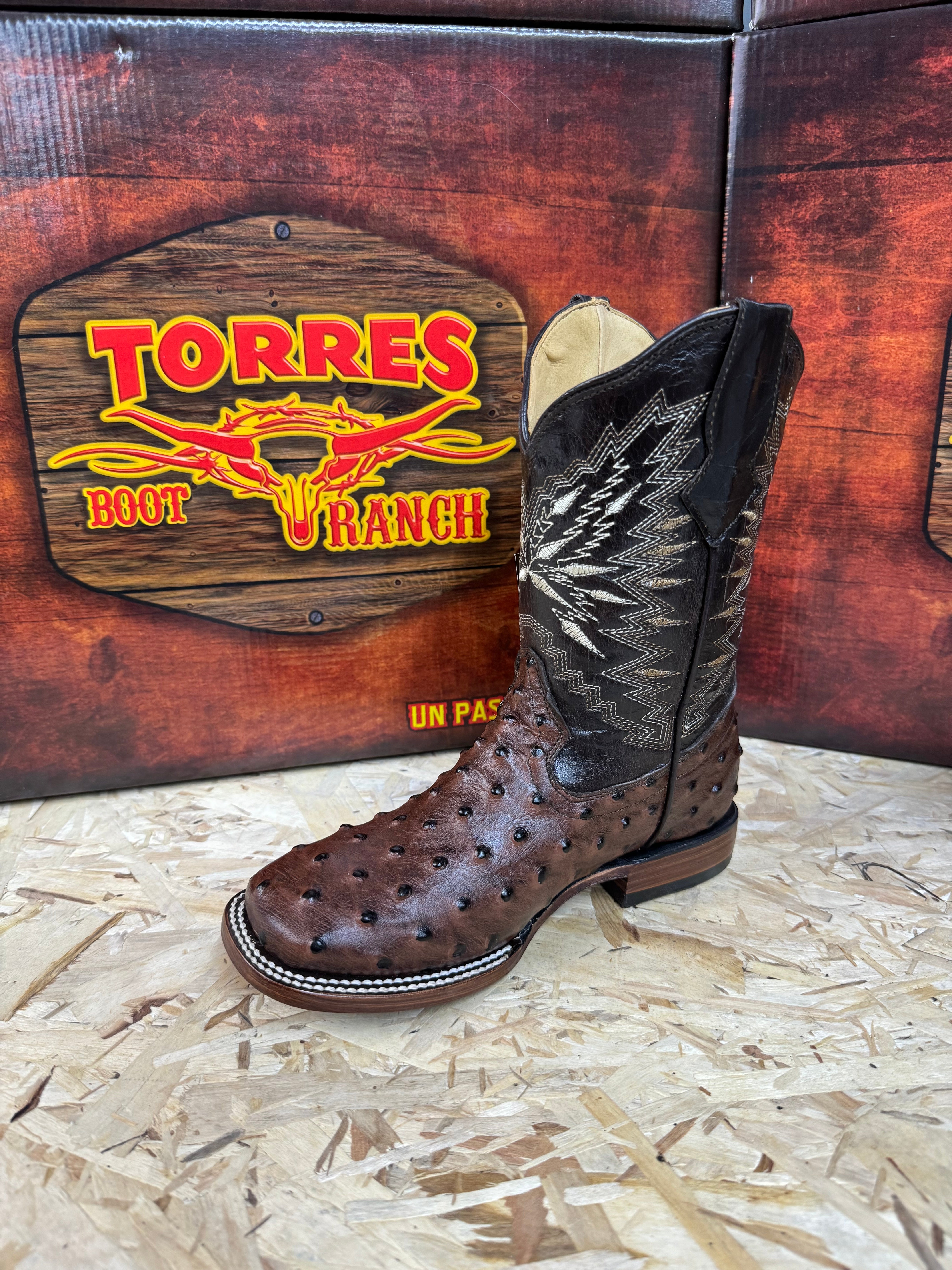 AVESTRUZ CAFE KIDS TORRES BOOT TBR0350