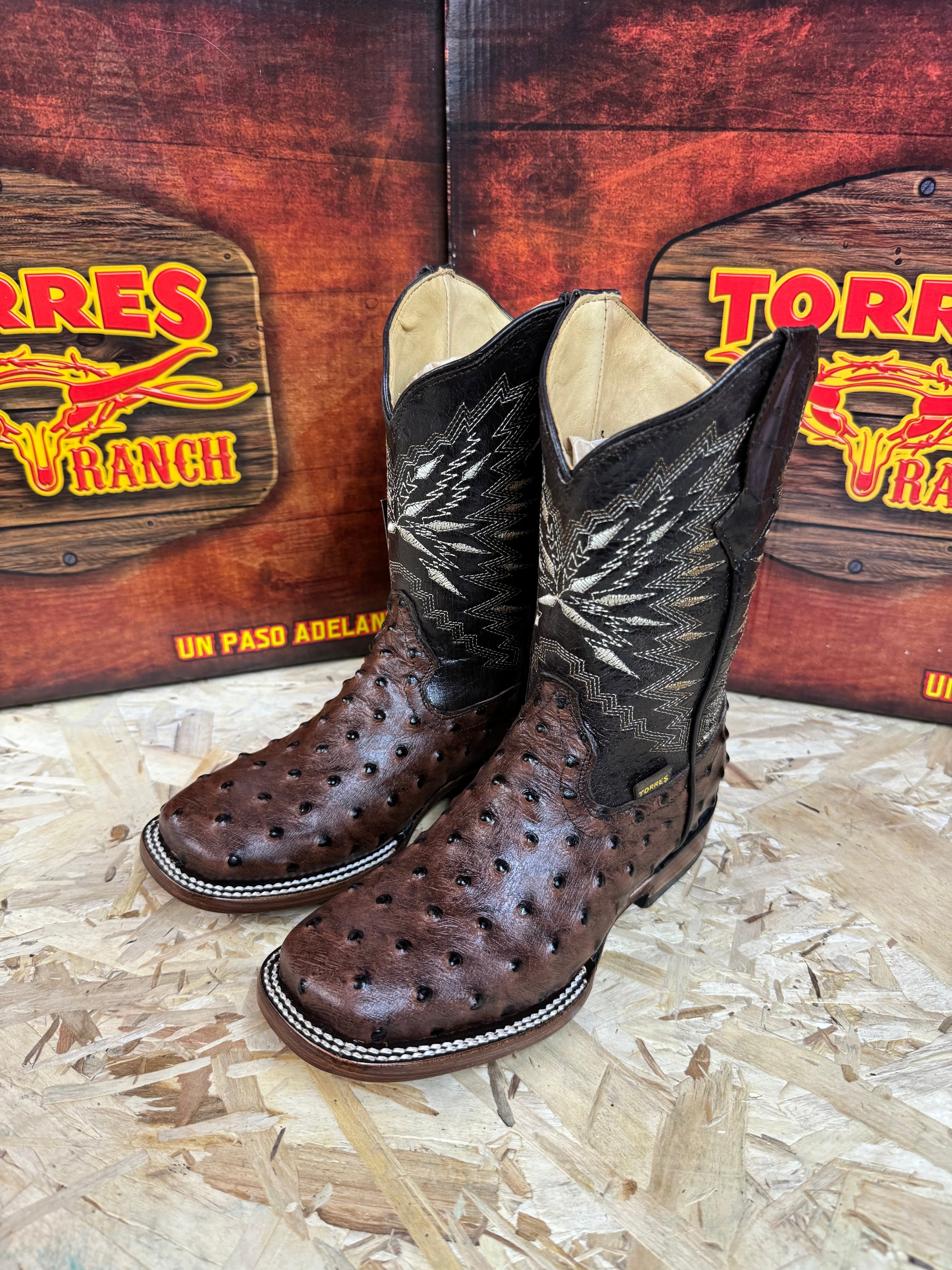 AVESTRUZ CAFE KIDS TORRES BOOT TBR0350