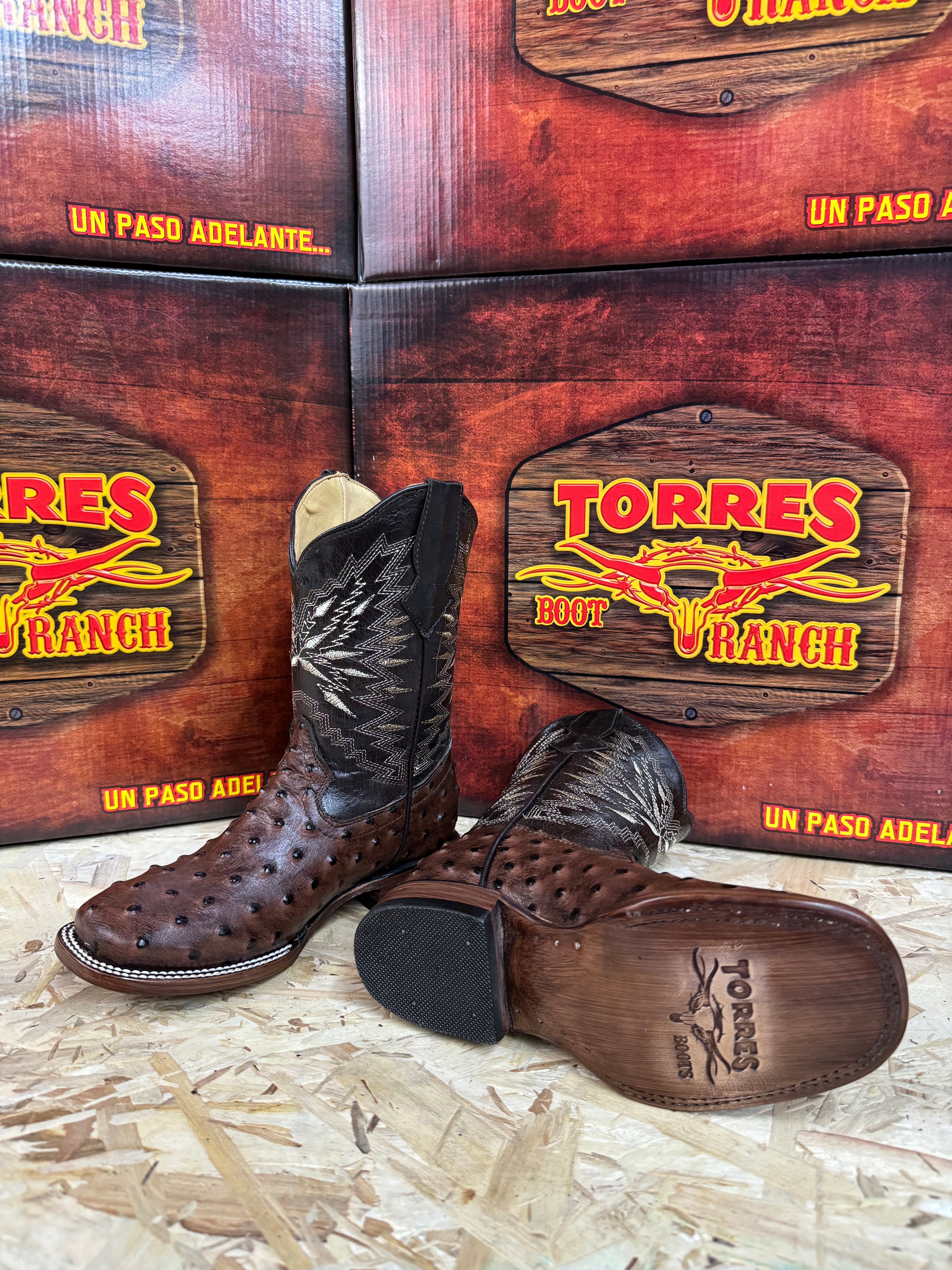 AVESTRUZ CAFE KIDS TORRES BOOT TBR0350