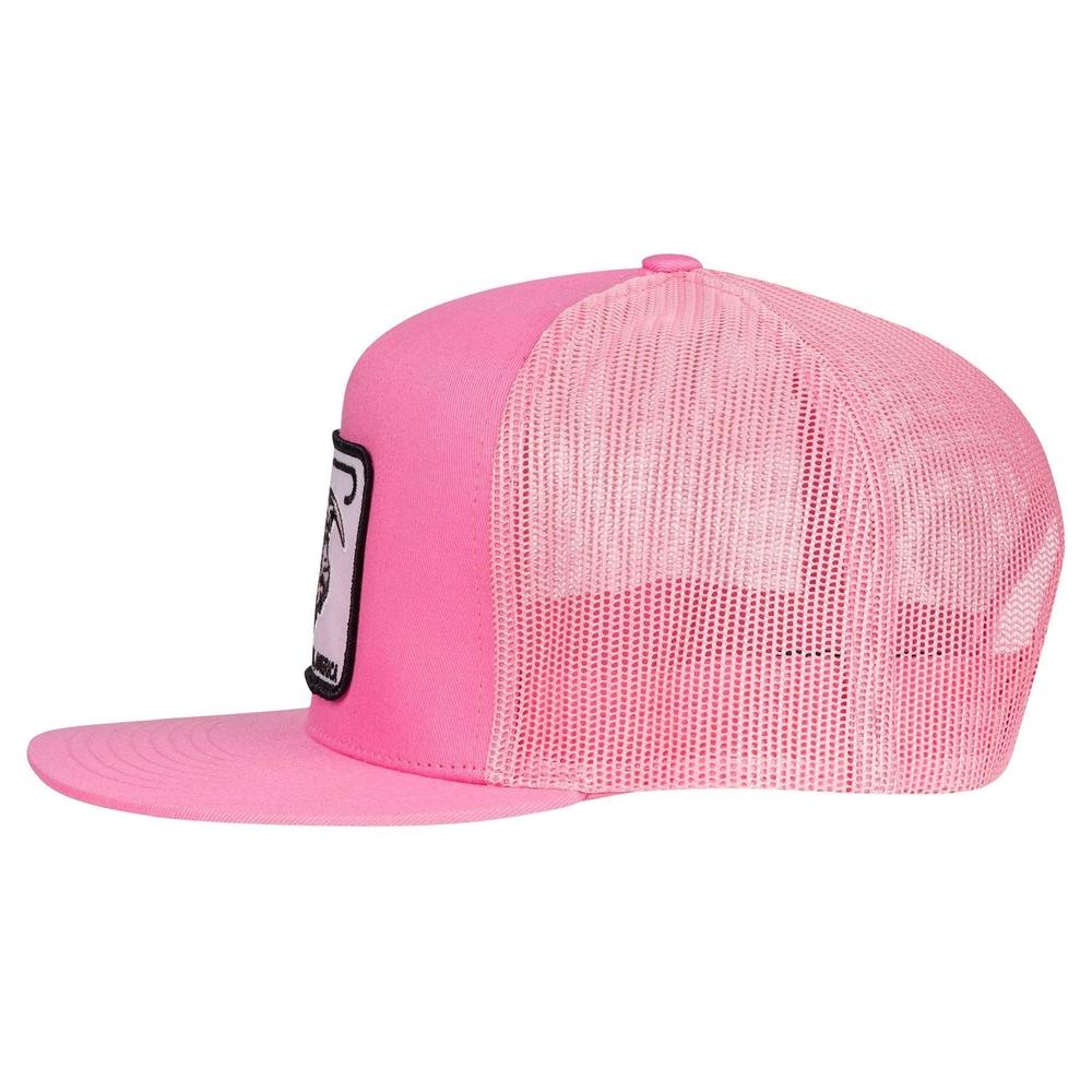 Lazy J Ranch Pink Willow Cattle Cap