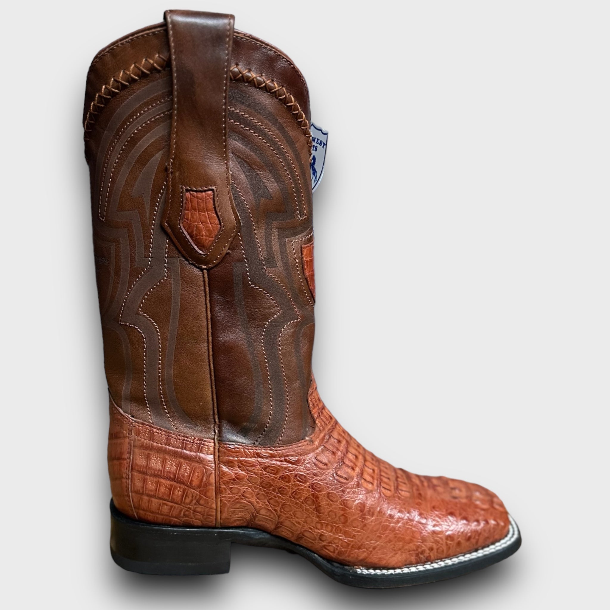 MN WILD WEST COGNAC CAIMAN HORNBACK