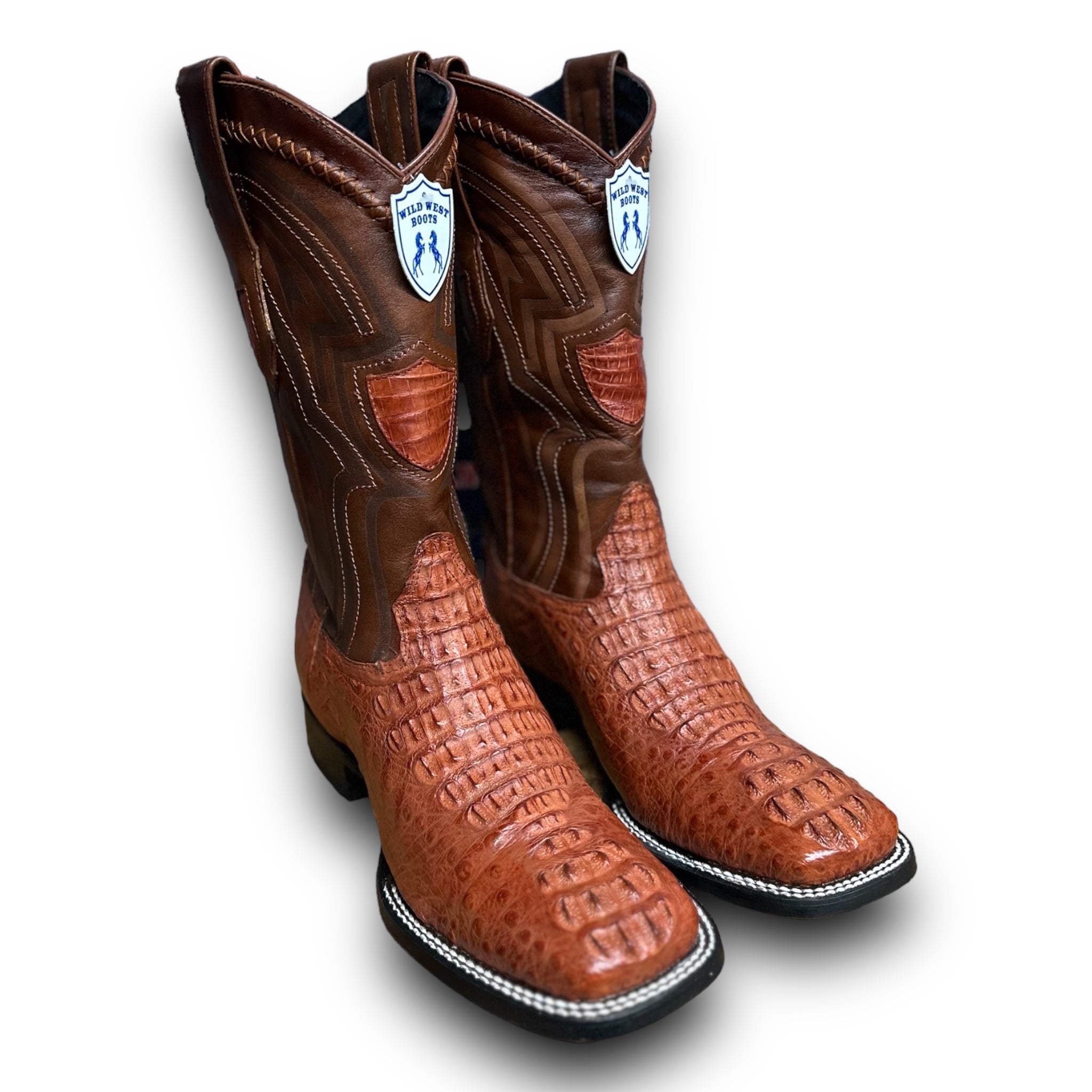 MN WILD WEST COGNAC CAIMAN HORNBACK